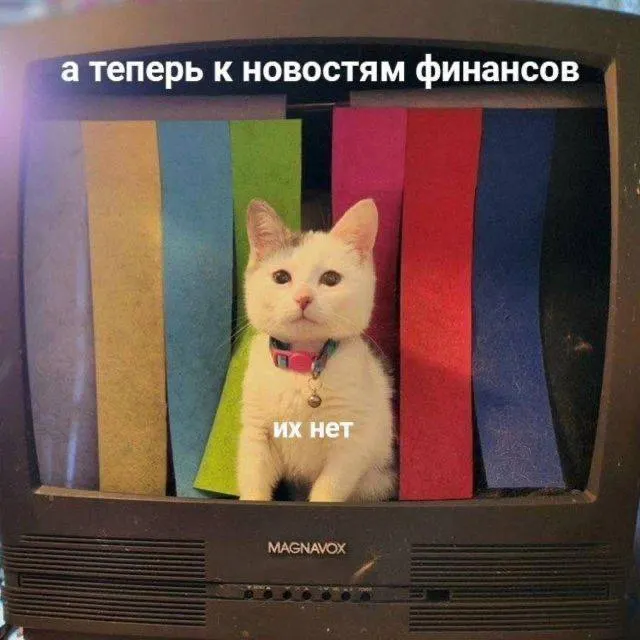 За праздничные выходные жители региона потеряли свыше 13,5 млн рублей: самые крупные суммы — почти 6 млн и более 3 млн рублей.