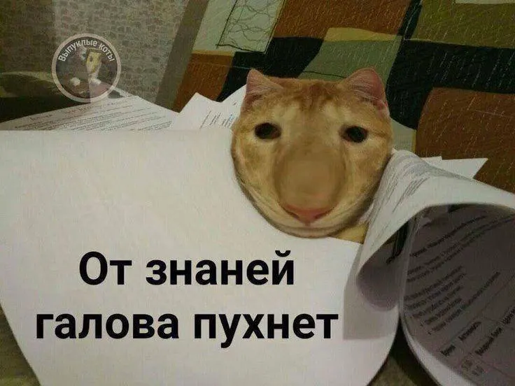 Минспорт планирует ввести норматив по управлению небольшим дроном в рамках ГТО: в этом году — тестирование, со следующего — массовое внедрение. Знак ГТО по этому испытанию может дать до 10 баллов к результатам экзамена.