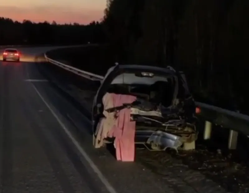 29-летний водитель Toyota Scepter не справился с управлением, выехал на встречную полосу и врезался в ограждение; 45-летний пассажир скончался на месте, он был не пристёгнут.