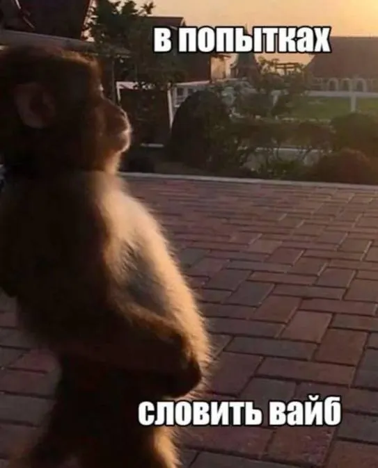 В выходные в Иркутске ожидается дождь и порывистый ветер, по области начнутся заморозки — похолодание сохранится и в начале следующей недели.
