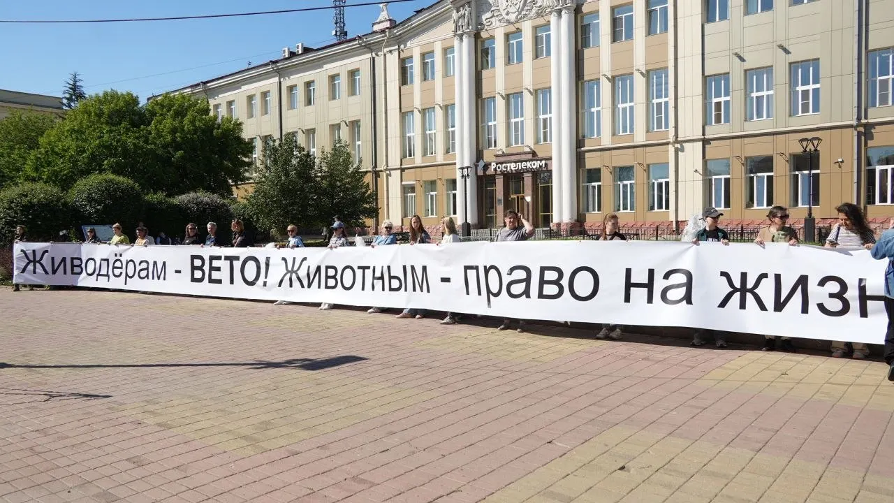 Активисты в Иркутске устроили массовую акцию, требуя изменить региональный закон, разрешающий умерщвление бездомных собак в «экстраординарных ситуациях». Они настаивают на гуманном контроле популяции животных и отмене спорных норм.