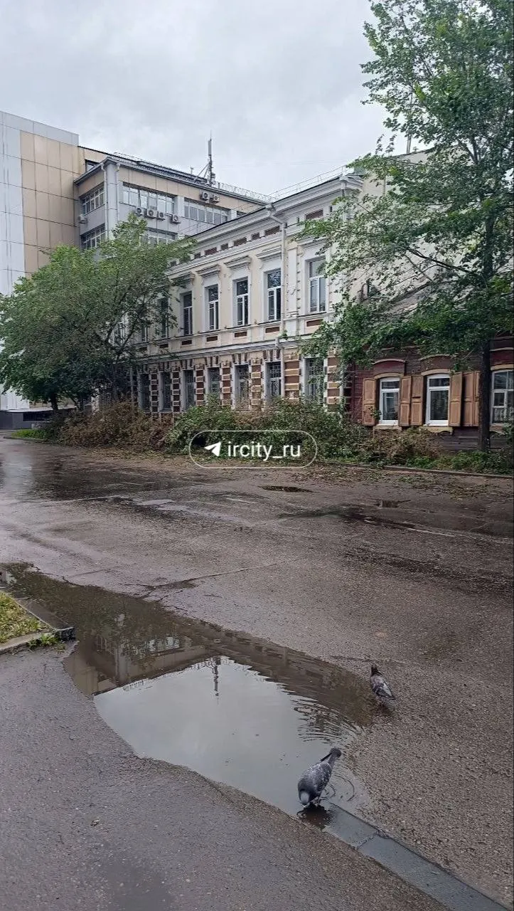 На улице Марата были снесены несколько яблонь: сначала жители заподозрили вредителя, но в мэрии объяснили, что деревья прогнили. На их месте планируют посадить тополя.
