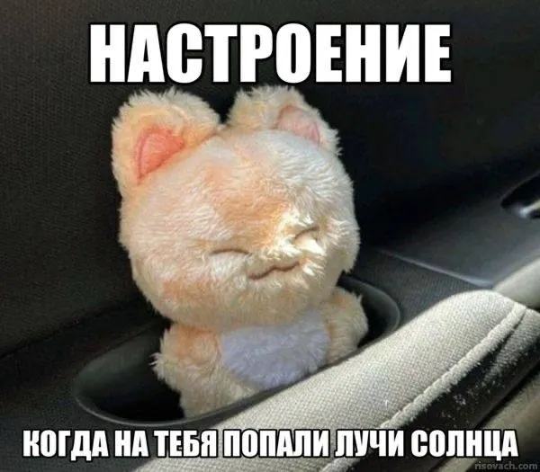 В рейтинге по количеству солнечных дней Чита возглавила список — в среднем 244 ясных дня в год. В топ также попали Хабаровск, Якутск и ряд других городов.