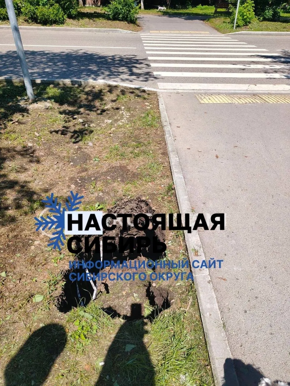 После дождей около дома №61 грунт просел — асфальт может обрушиться, сообщают местные жители.