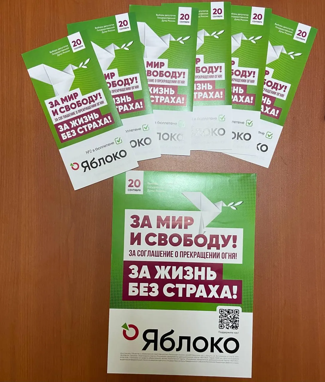 Суд принял решение, ограничившее участие партии в выборах на федеральном уровне: она сможет баллотироваться по округам и в региональные парламенты.