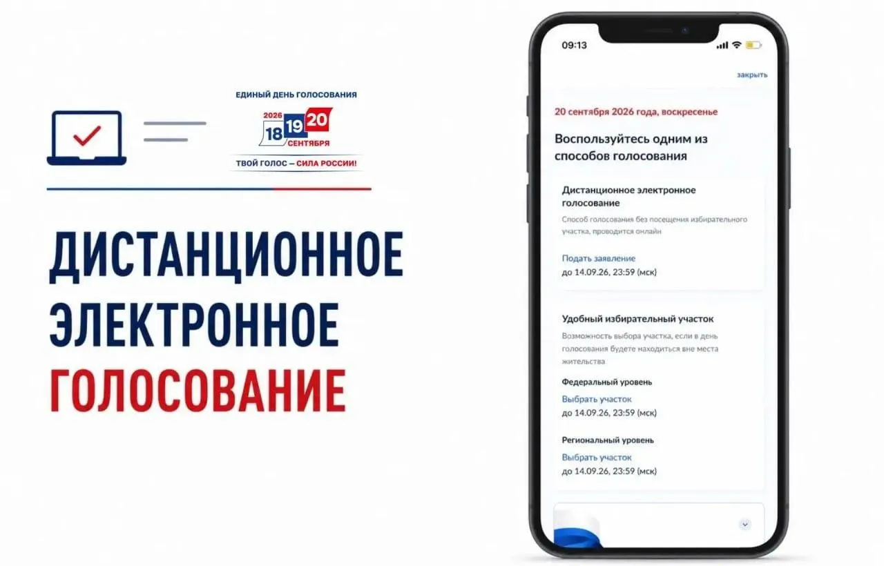 Началась подача заявлений на участие в дистанционном электронном голосовании; авторы выражают озабоченность непрозрачностью и возможными манипуляциями.