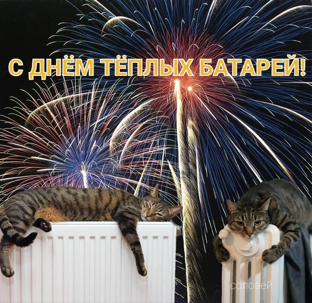 Старт отопления в Иркутске: тепловые сети будут подключать поэтапно в течение пяти дней, социальные объекты — в первую очередь; если батареи холодеют — обращайтесь в управляющую компанию.