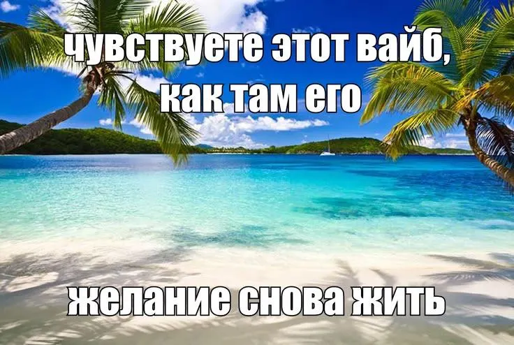Новые зимние авиарейсы связывают Иркутск с курортами Нячанг и Фукуок: первый полет в Нячанг — 30 октября, в Фукуок — 4 ноября; билеты стоят около 59 тыс. руб. в одну сторону и около 105 тыс. руб. на Фукуок в декабре.