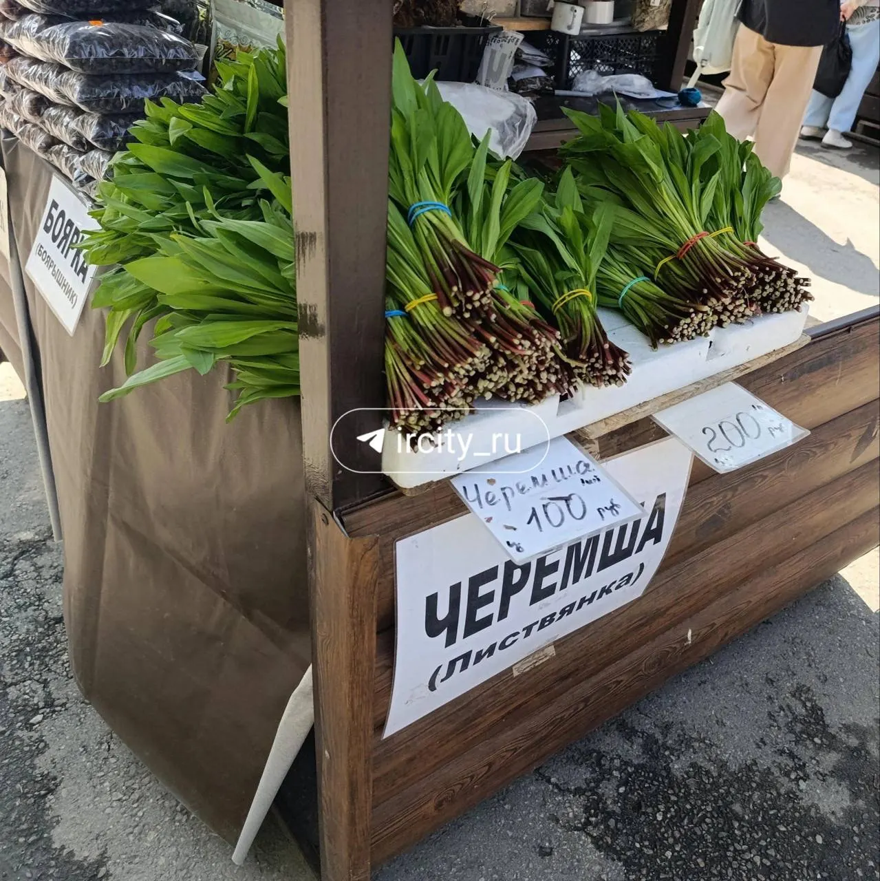 Дикий чеснок уже продают на Центральном рынке Иркутска — привозят из Листвянки и окрестностей, средняя цена от 100 до 200 рублей за пучок.