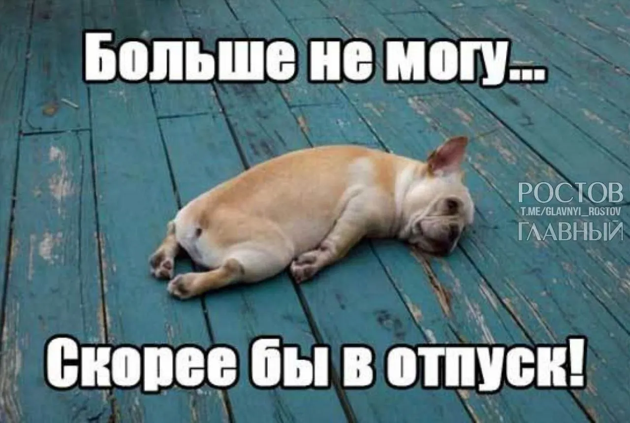 Депутаты предлагают повысить минимальную продолжительность отпуска с 28 до 35 дней, чтобы компенсировать выходные, включаемые в отпуск, и снизить риск профессионального выгорания.