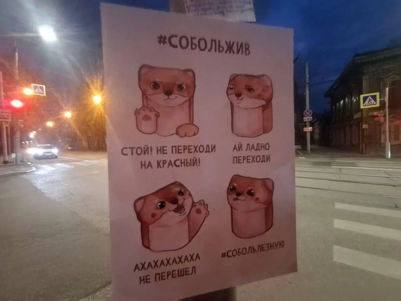 На перекрёстке Декабрьских Событий и Красногвардейской появился знак с изображением соболя, который предупреждает водителей и пешеходов об опасностях.