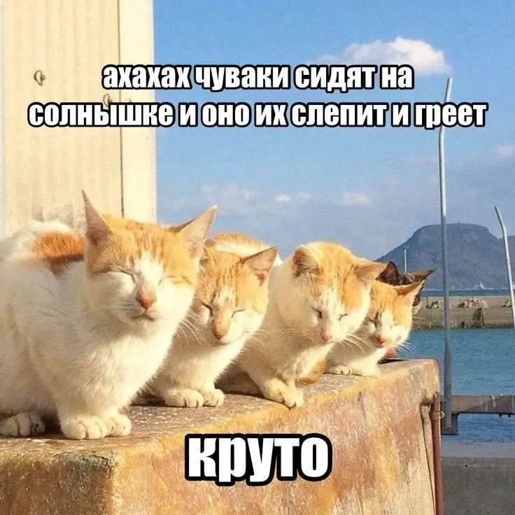 К концу июня в Иркутске ожидается потепление: кратковременный дождь возможен утром 23 июня, затем без осадков и дневная температура до +27 °C. По области местами до +33 °C.