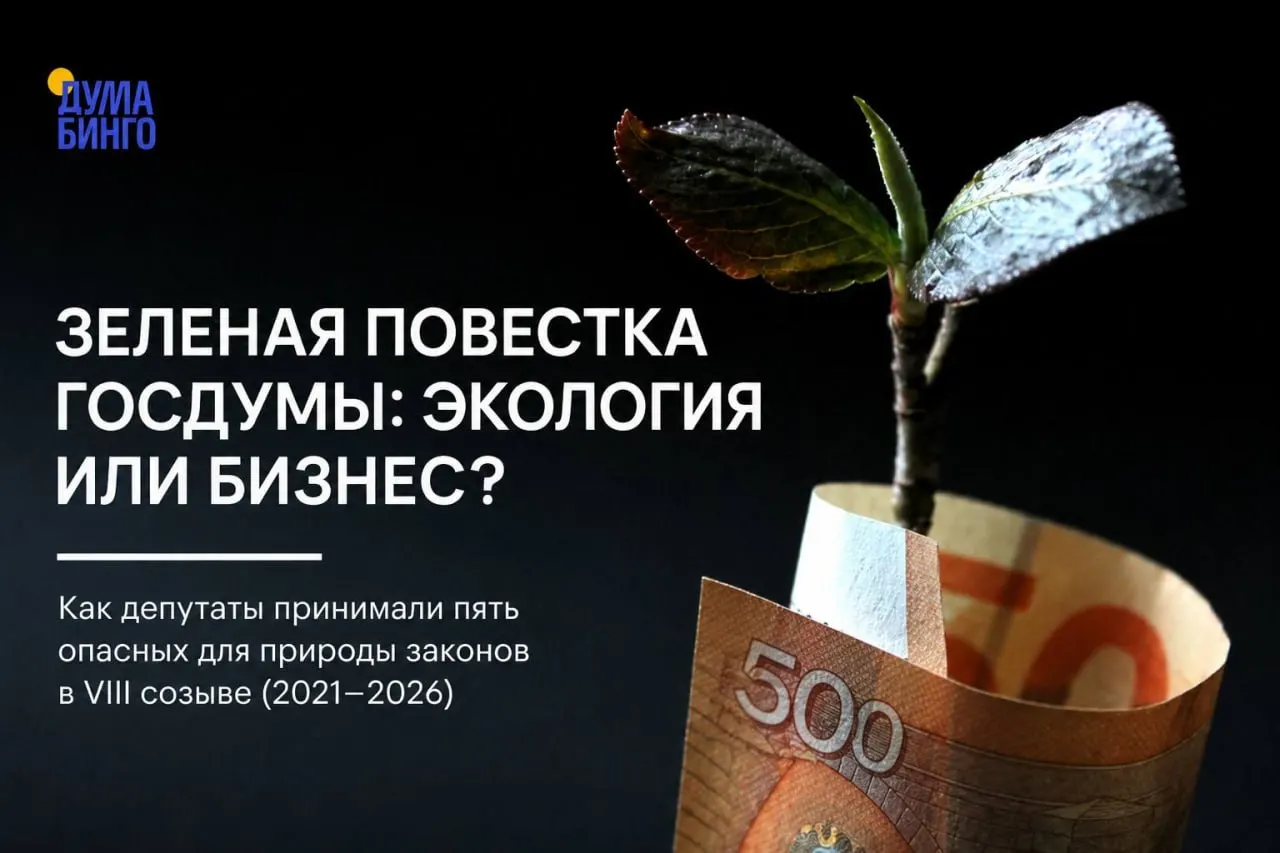 Анализ законодательных инициатив за пять лет показывает, что ряд принятых решений ограничивает общественный экологический контроль, упрощает освоение охраняемых территорий и передаёт ключевые полномочия правительству.