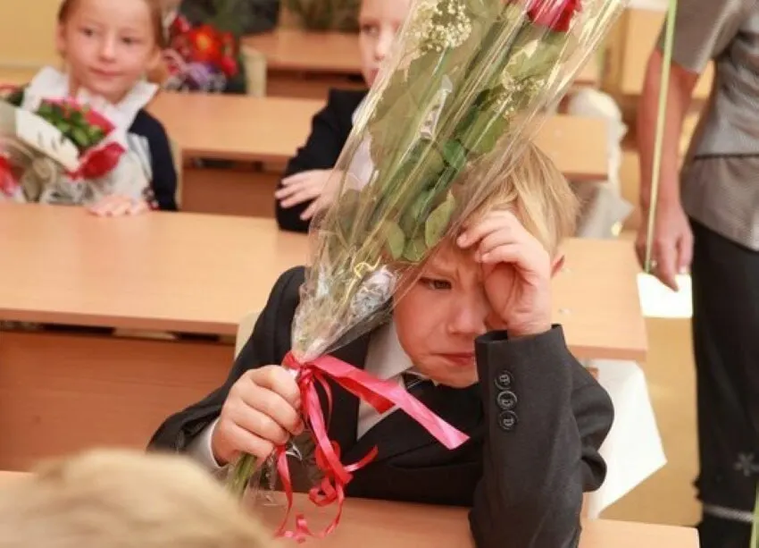 Заместитель главы Минпросвещения заявил, что 11‑летняя система оптимальна; все стандарты и донастройки будут вводиться с расчётом на 11 классов.