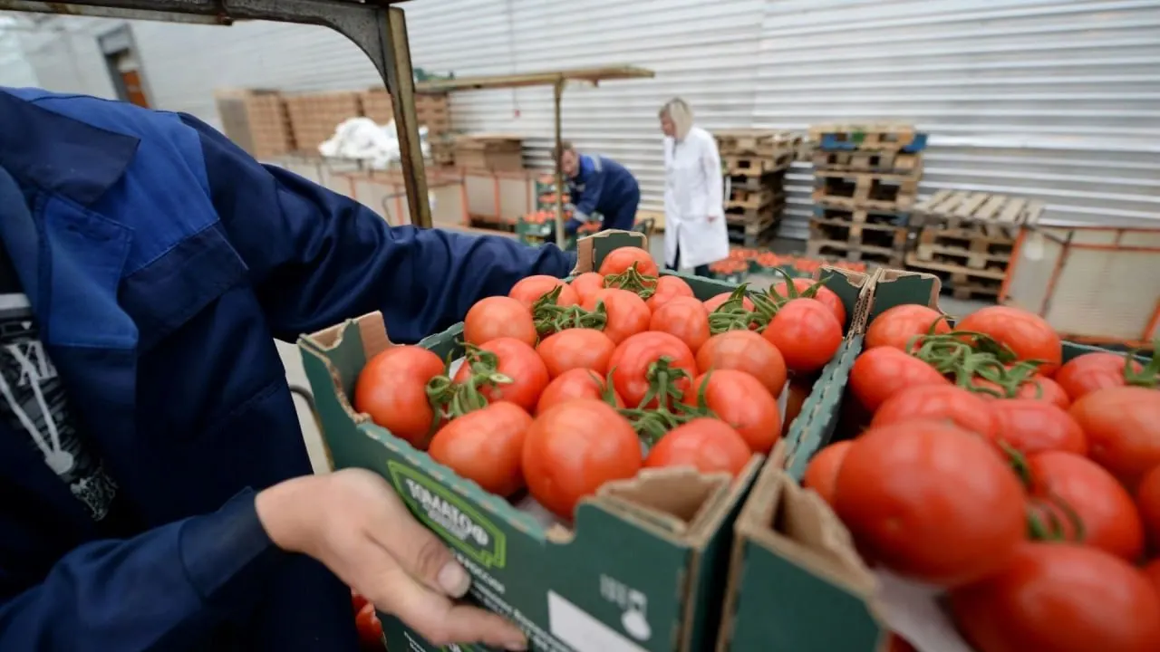 Россельхознадзор временно запретил ввоз и транзит любой подкарантинной продукции из Армении после обнаружения заражённых партий; ограничения действуют до установки механизмов контроля и отслеживания грузов.