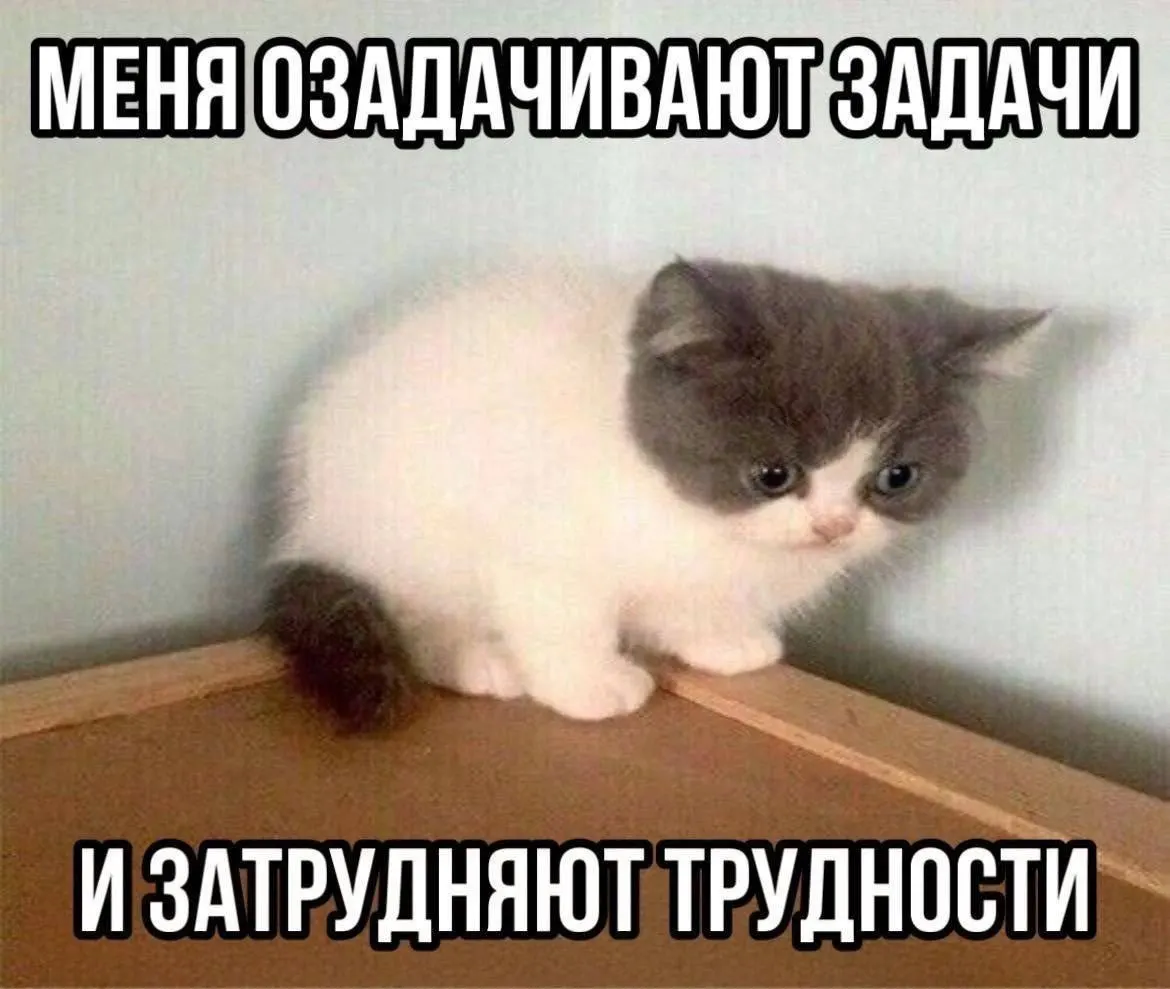 Минфин региона объявил 11 аукционов на годовые кредиты общим объёмом 11,5 млрд рублей с датой приёма заявок с 29 июня. Средства нужны для покрытия дефицита бюджета и погашения долгов; начальная ставка — 18% годовых.