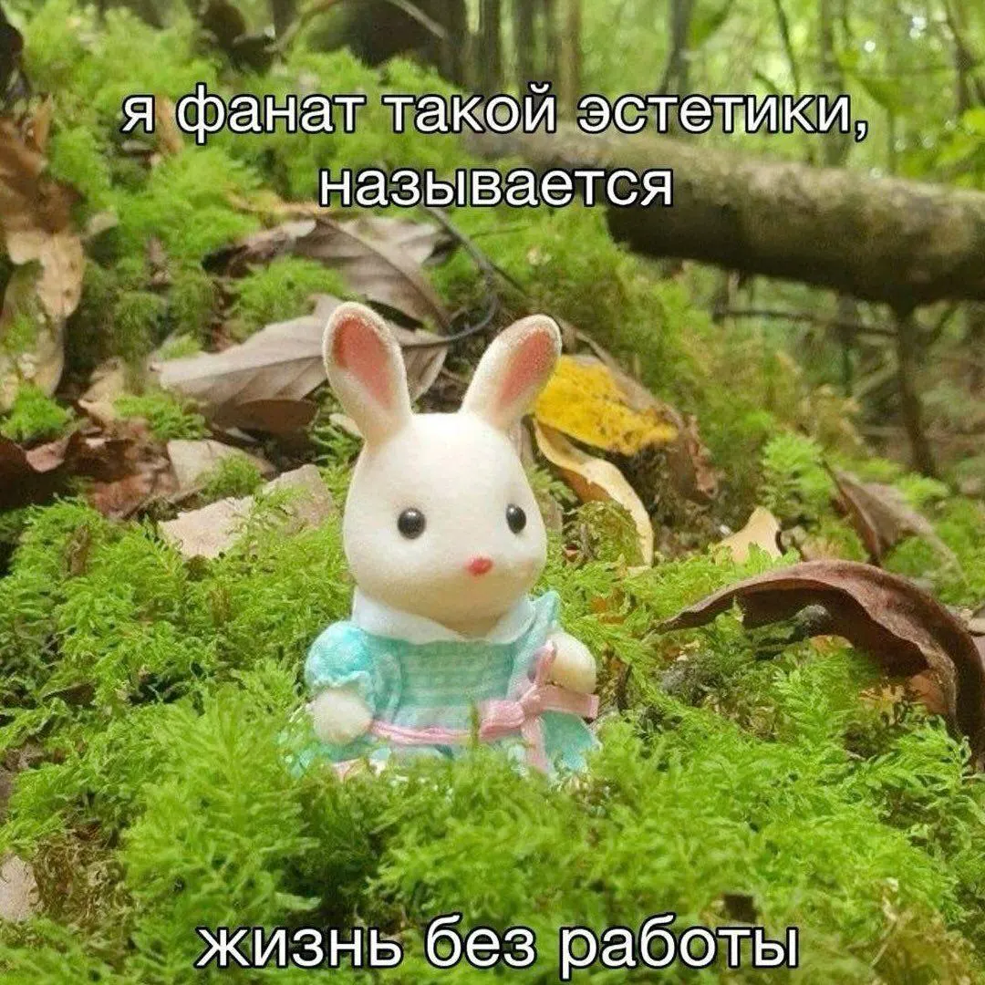 Аналитики подсчитали средние зарплаты по профессиям в российских городах: в Иркутске средняя номинальная зарплата — 110 тыс. руб., у ученых — около 141 тыс.; город занял 40-е место в общем рейтинге.