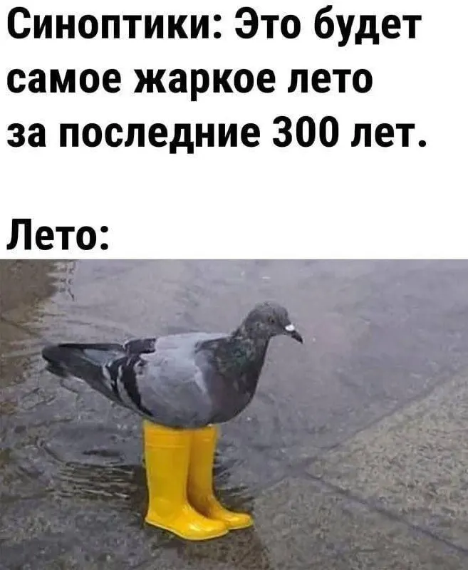 Ночью 18 июля в Иркутске ожидают до +13°C, днём — +24…+26°C. В воскресенье возможны дожди и грозы. По области прогнозируют ливни, грозы и усиление ветра, +22…+27°C.