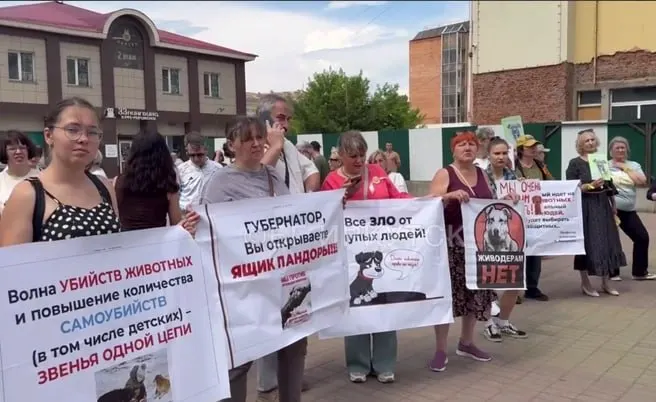 Губернатор внес поправки, которые уточняют критерии для отстрела животных, вводят решение комиссии об усыплении и откладывают вступление закона до 1 января 2027 года.