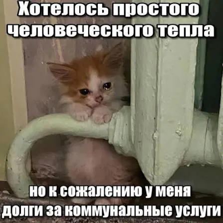 Верховный суд подтвердил, что исковая давность по долгам за капитальный ремонт составляет три года. Из‑за этого коммунальные операторы не вправе отражать в платёжках задолженность, возникшую более трёх лет назад.