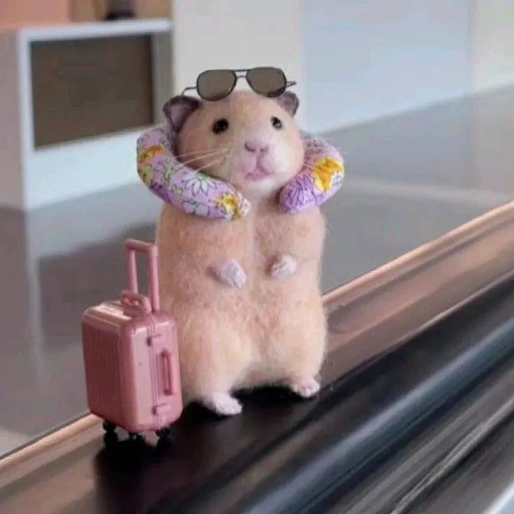 С 1 сентября S7 Airlines увеличивает частоту рейсов Иркутск — Бангкок; к концу октября она достигнет 15 рейсов в неделю.