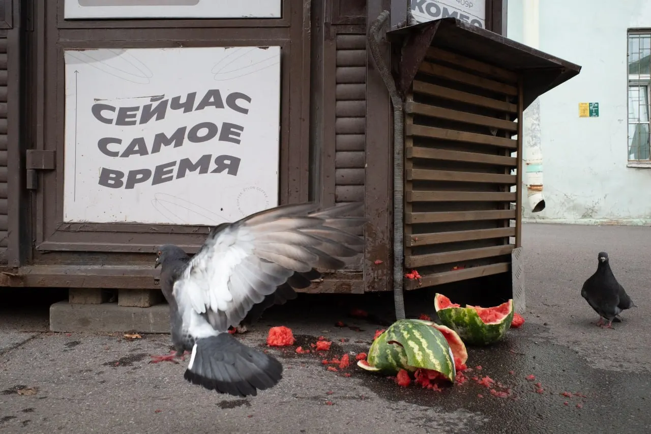 В Петербурге и Ленобласти зафиксирован штраф за антивоенное высказывание священника, идёт регистрация кандидатов и память жертв террора; в мире — партийные раскладки и перестановки в Минобороны.