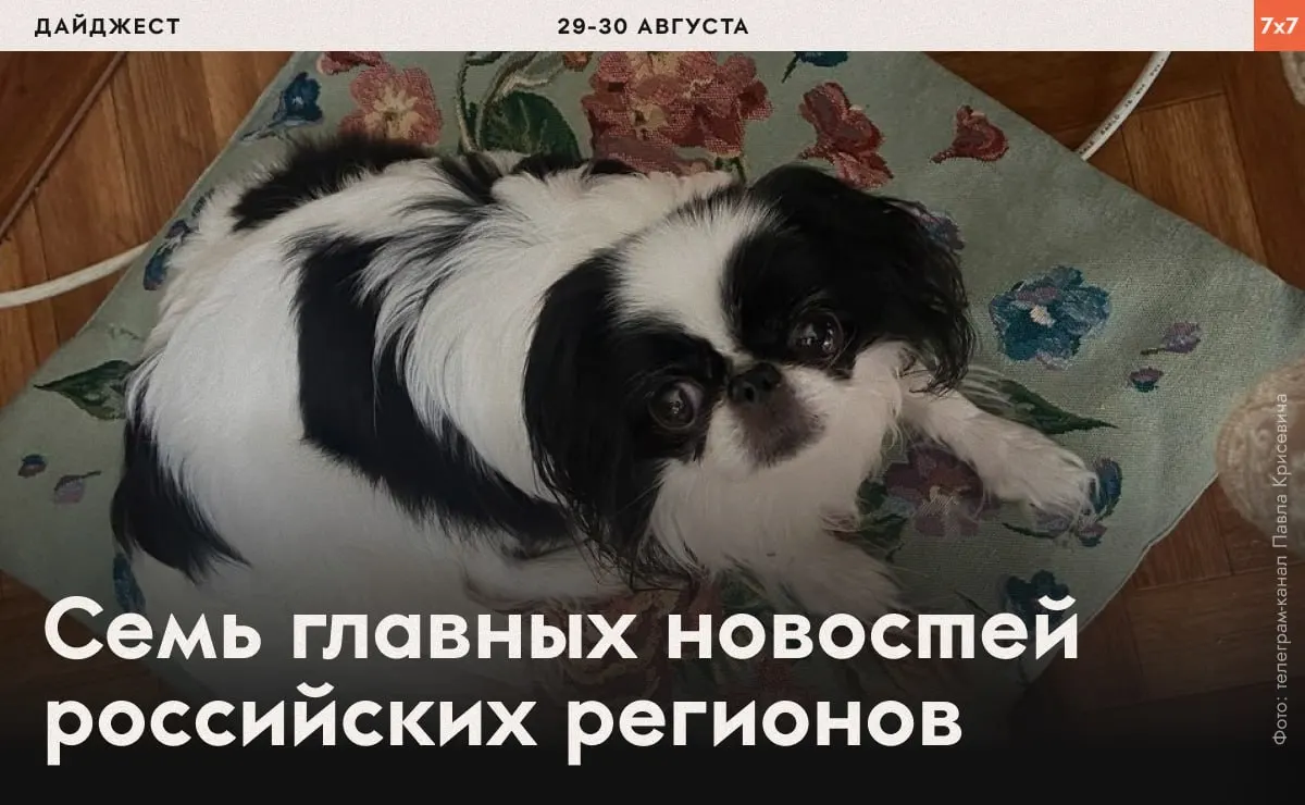 Сводка о принуждении к физическим упражнениям политзаключённых, проверках, ограничениях агитации и региональных конфликтах.