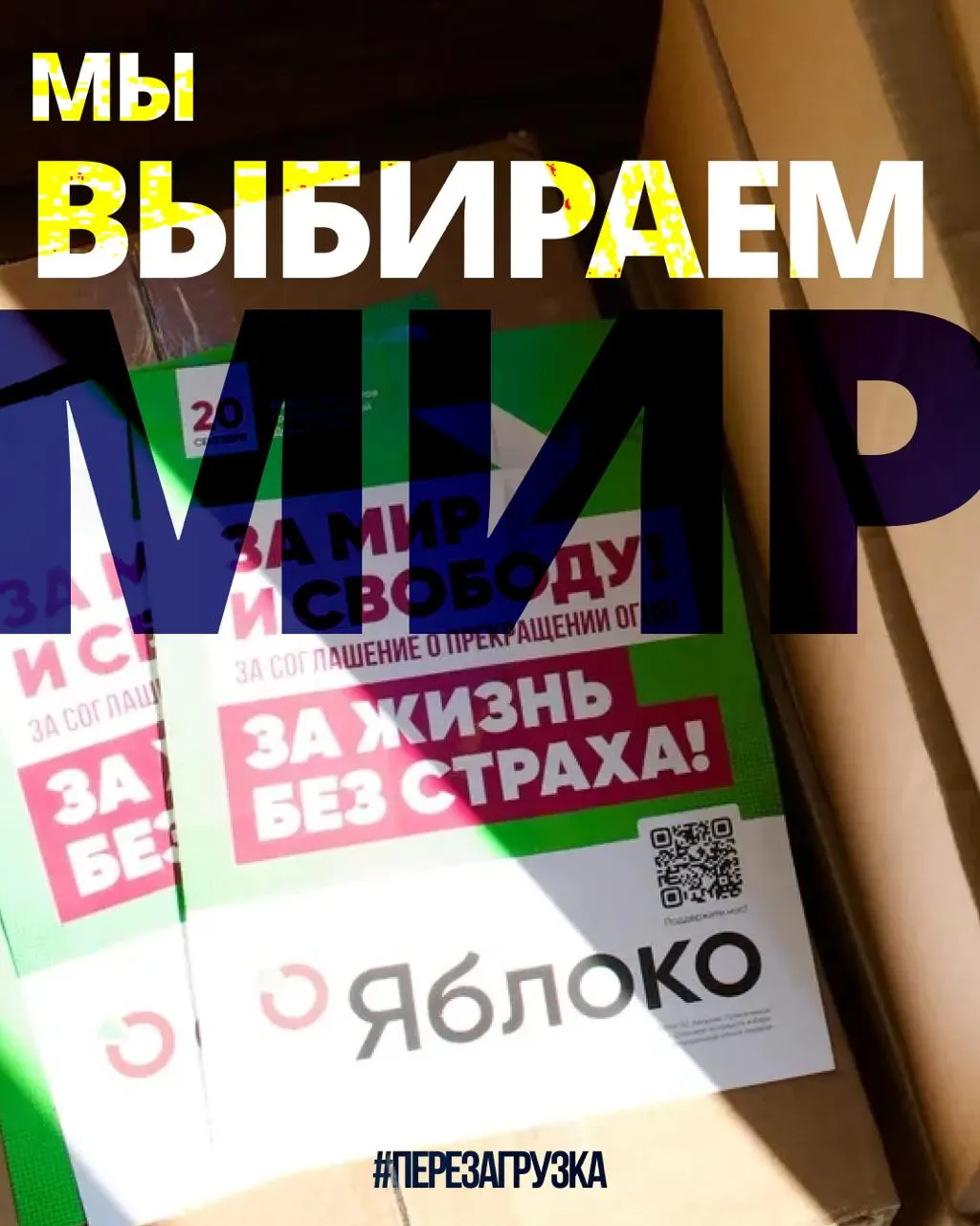 В 53 регионах действует кампания 135 кандидатов от партии «Яблоко». Ожидается апелляция по списку; участники и сторонники выражают солидарность по всей стране.