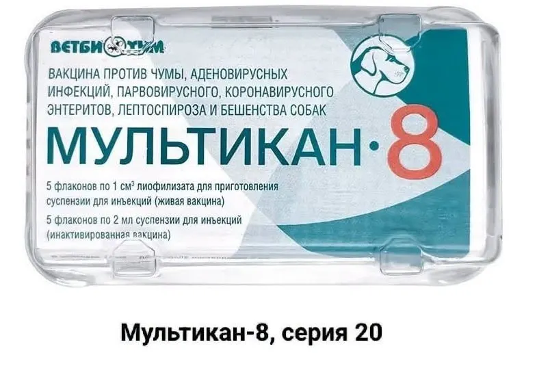 Владельцы погибших от вакцины собак обратились к блогерам и журналистам с просьбой привлечь внимание к происшествию и провести независимое расследование.